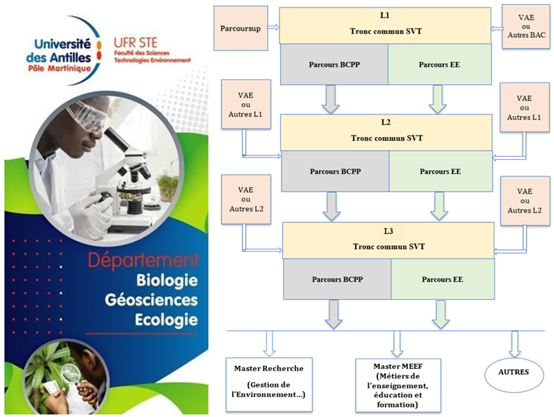 Licence Sciences De La Vie Et De La Terre U F R SCIENCES